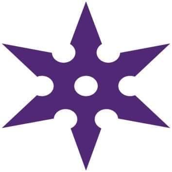 Ninja Polish Logo